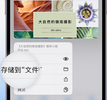 内黄apple维修中心分享iPhone文件应用中存储和找到下载文件