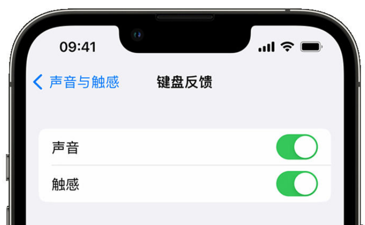 内黄苹果手机维修分享iPhone 14触感键盘使用方法 