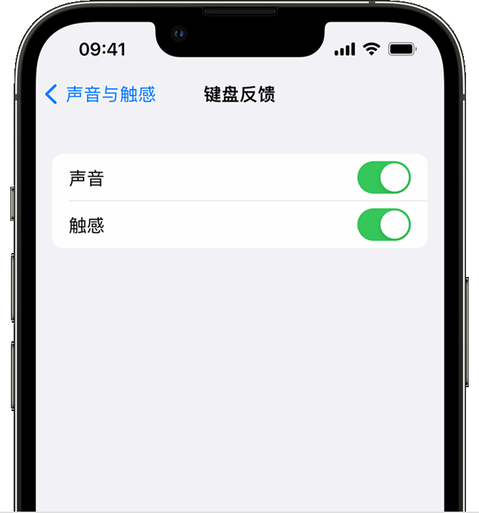 内黄苹果14维修店分享如何在 iPhone 14 机型中使用触感键盘 