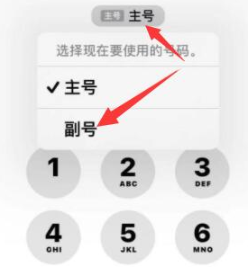 内黄苹果14维修店分享iPhone 14 Pro Max使用副卡打电话的方法 