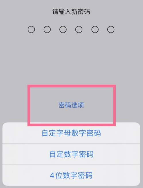 内黄苹果14维修分享iPhone 14plus设置密码的方法 