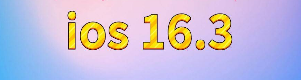 内黄苹果服务网点分享苹果iOS16.3升级反馈汇总 