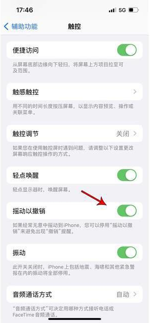 内黄苹果手机维修分享iPhone手机如何设置摇一摇删除文字 